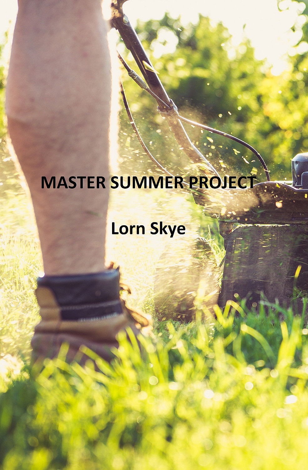 Master Summer Project - Cover