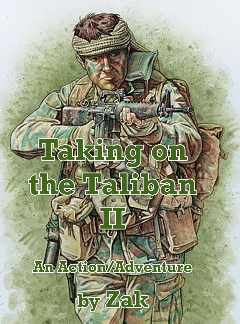 Taking on the Taliban II - Cover