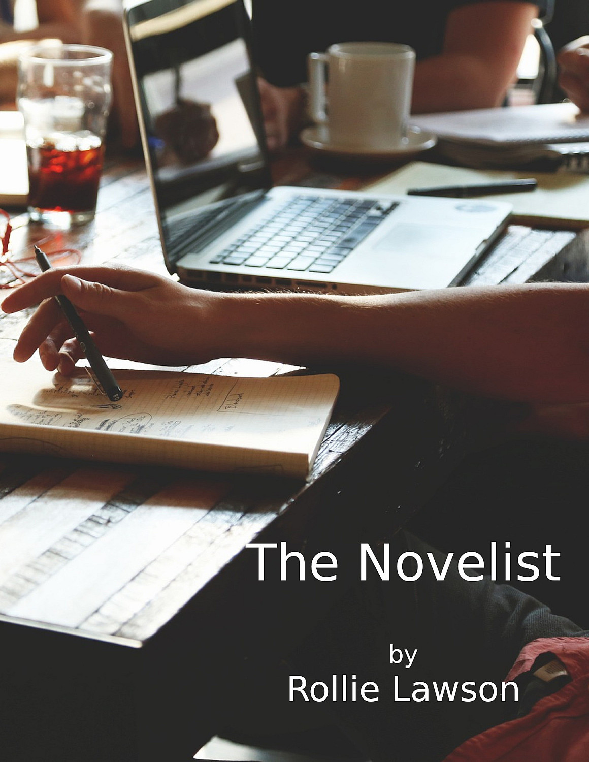 The Novelist - Cover