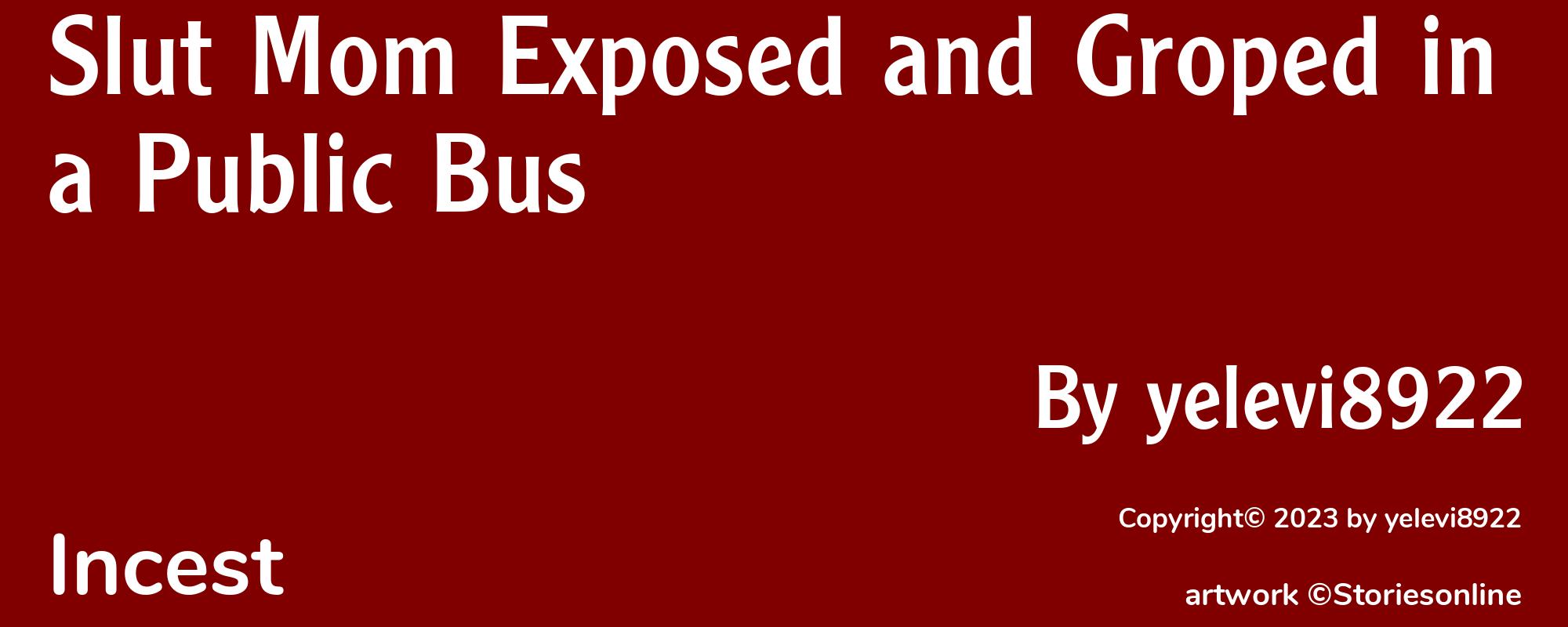 Slut Mom Exposed and Groped in a Public Bus - Cover