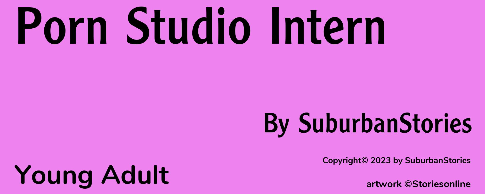 Porn Studio Intern - Cover