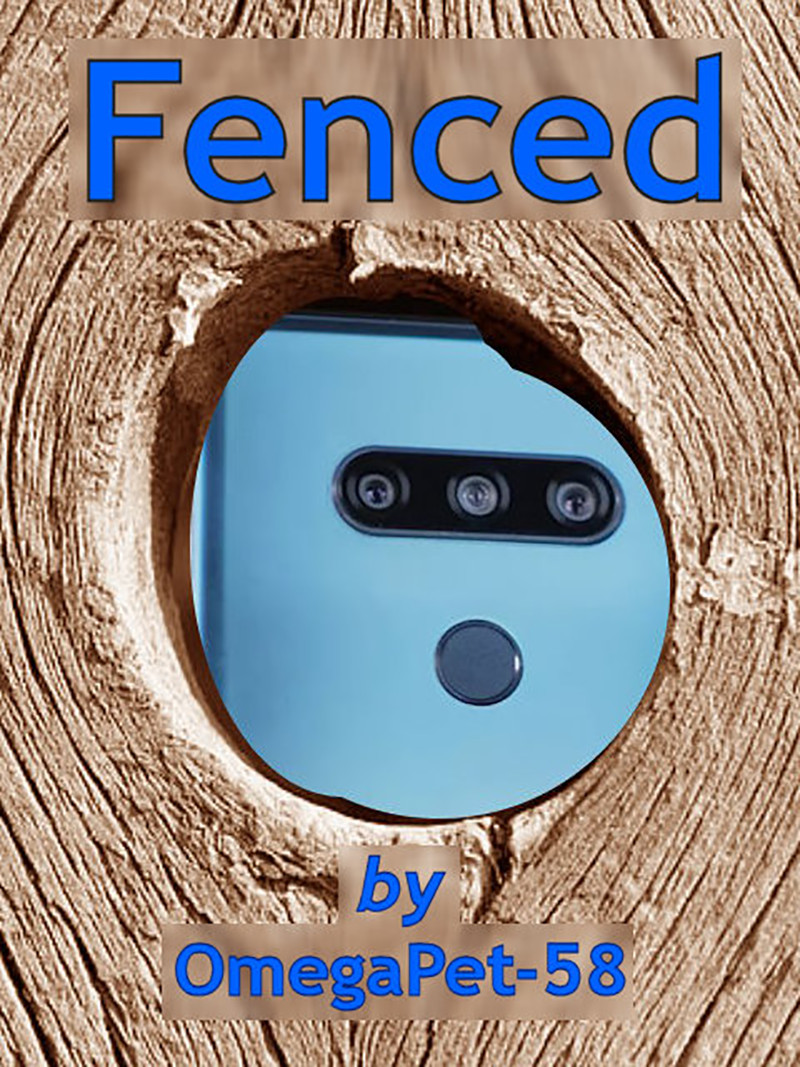 Fenced - Cover