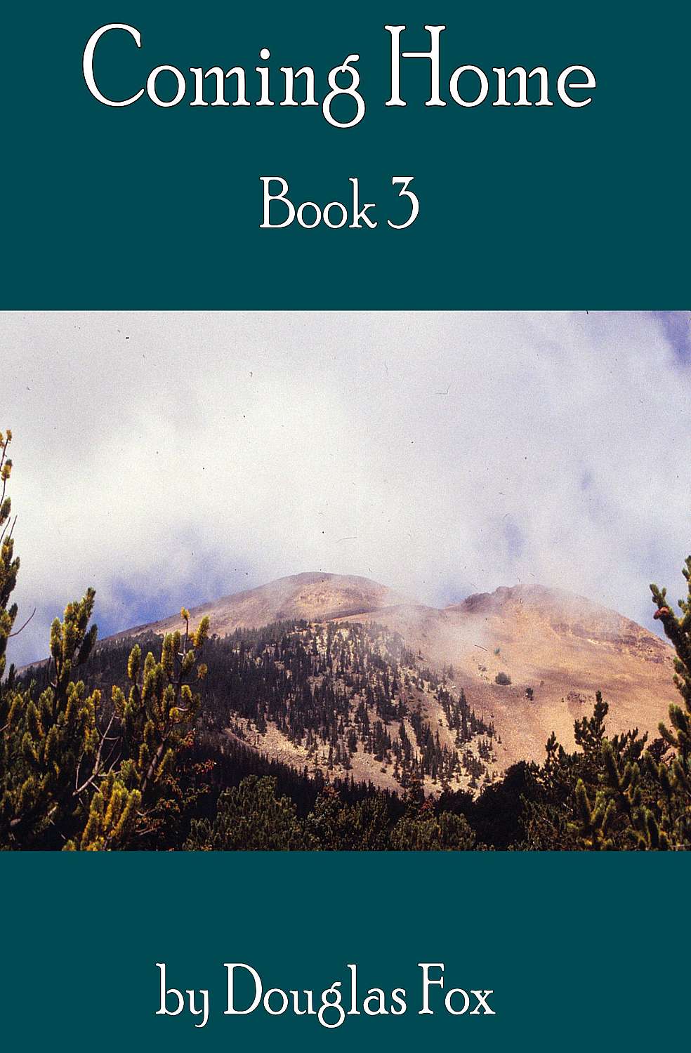 Coming Home — Book 3 - Cover