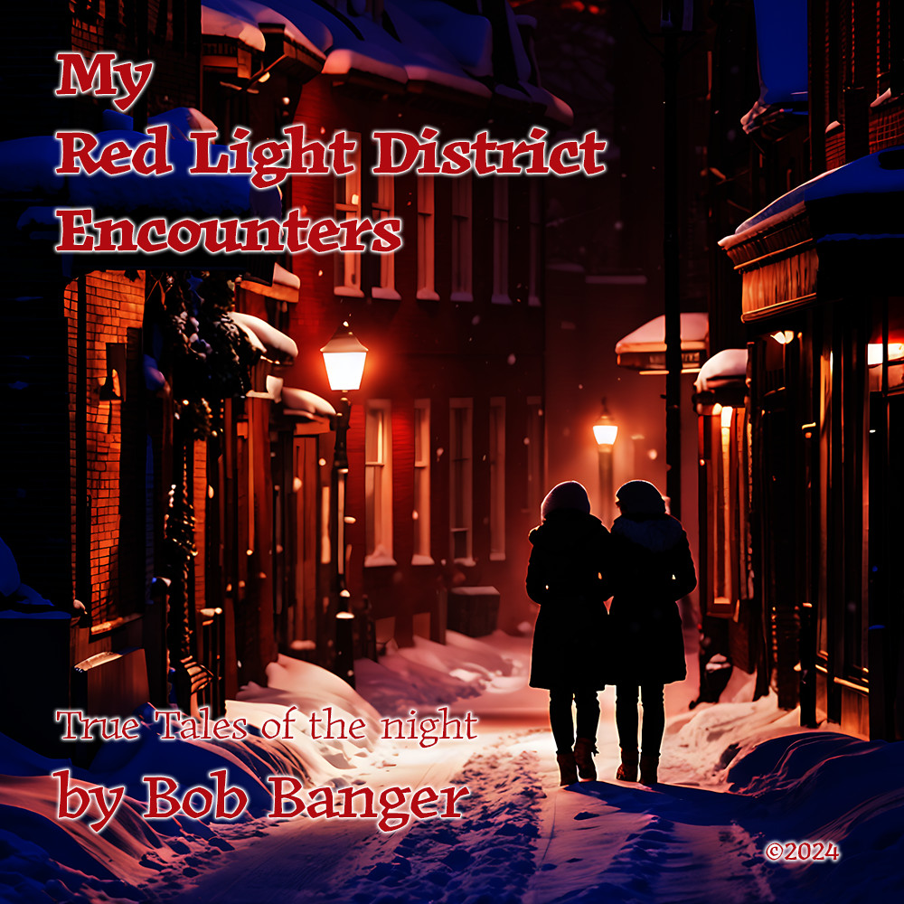 My Red Light District Encounters - Cover