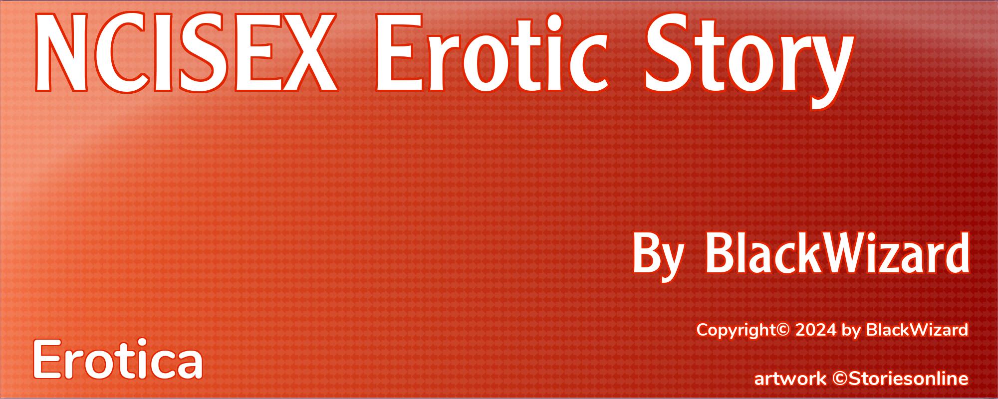NCISEX Erotic Story - Cover