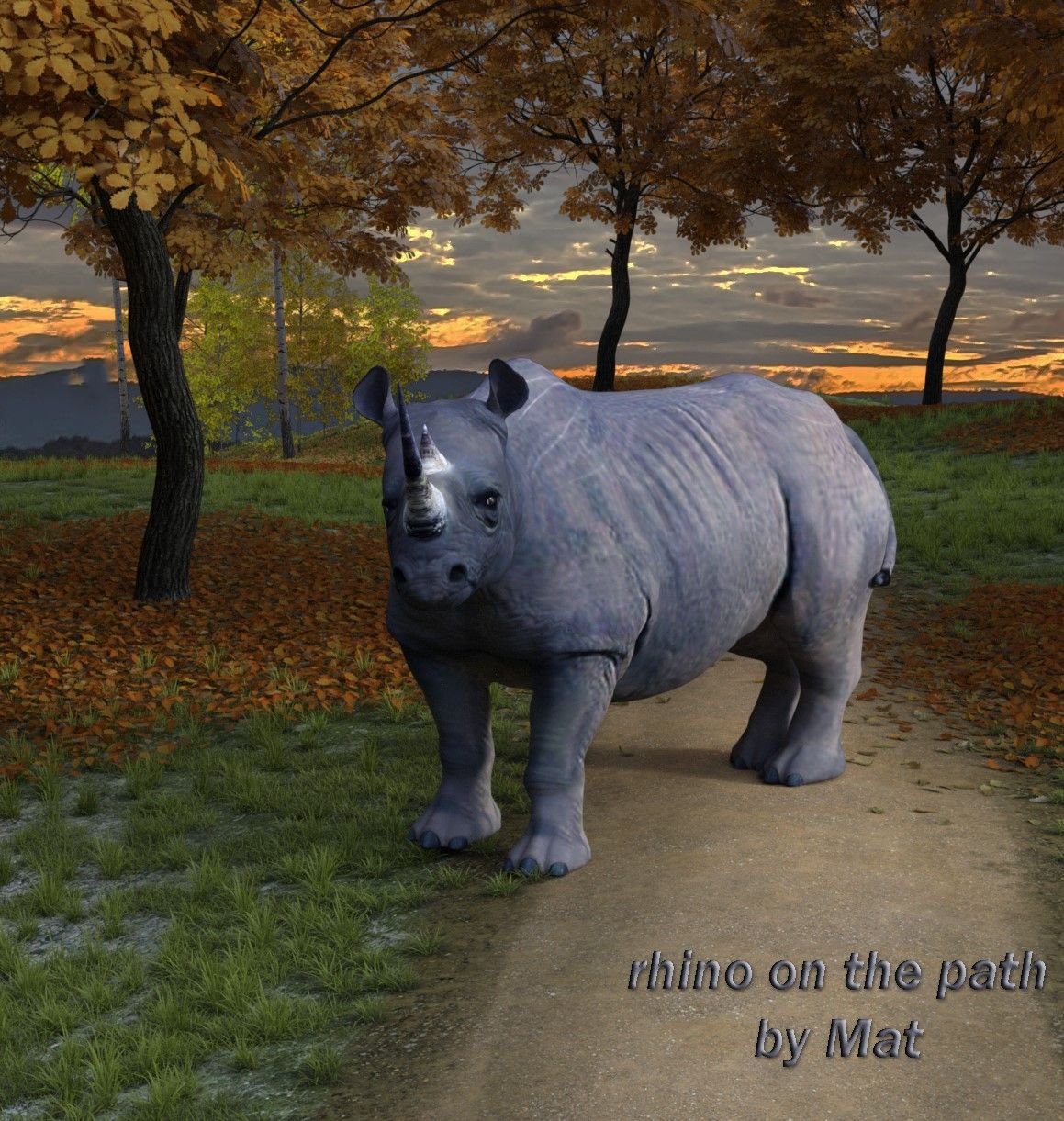 Rhino on the Path - Cover