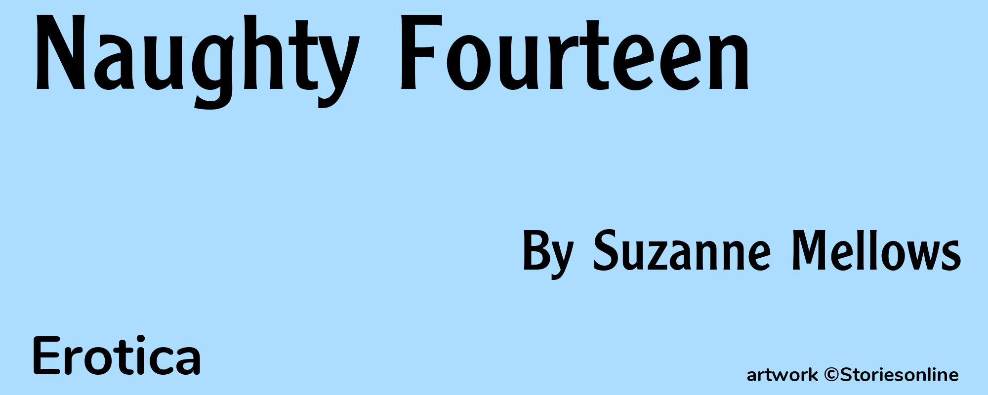 Naughty Fourteen - Cover