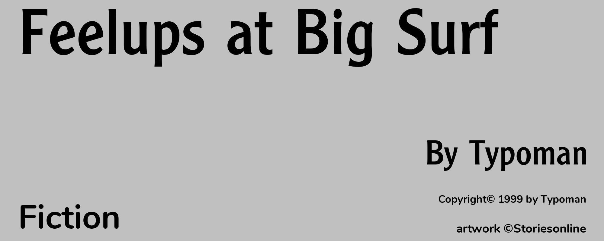 Feelups at Big Surf - Cover