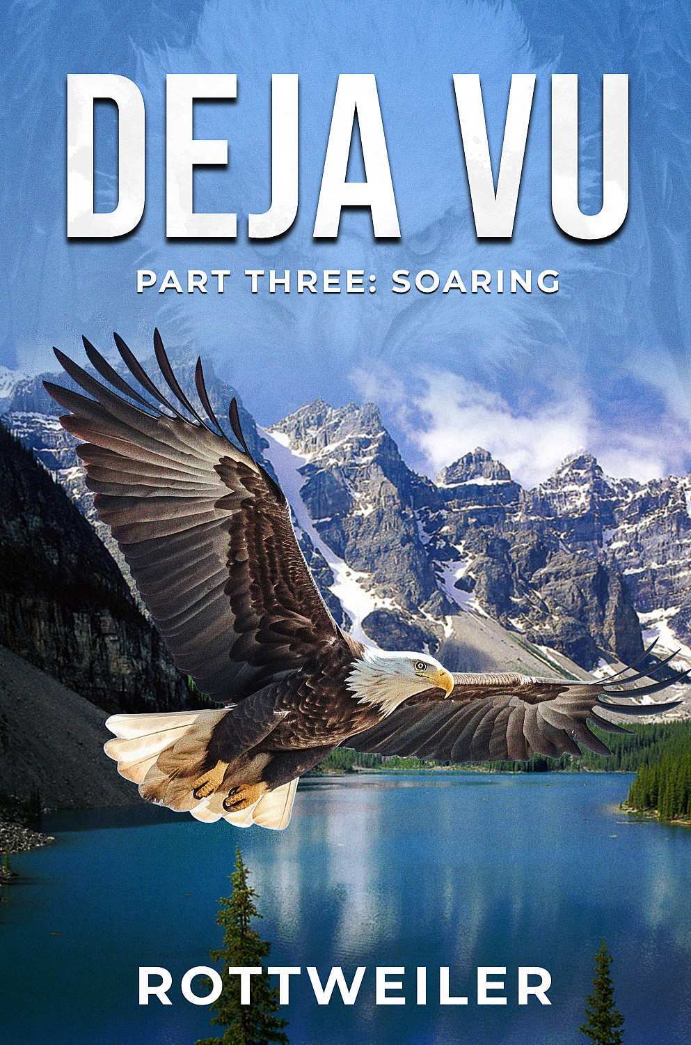 Deja Vu — Part Three: Soaring - Cover