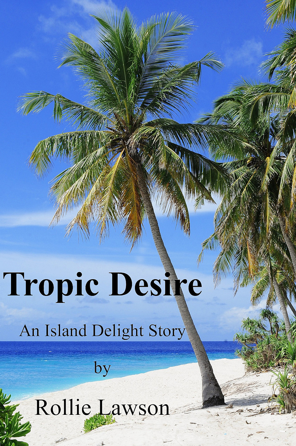 Tropic Desire - Cover