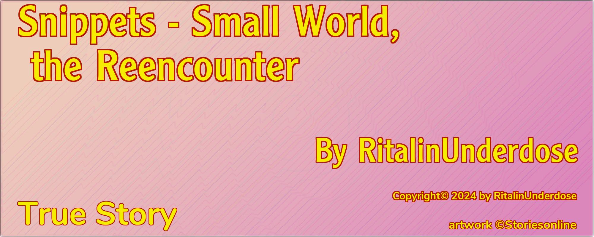 Snippets - Small World, the Reencounter - Cover