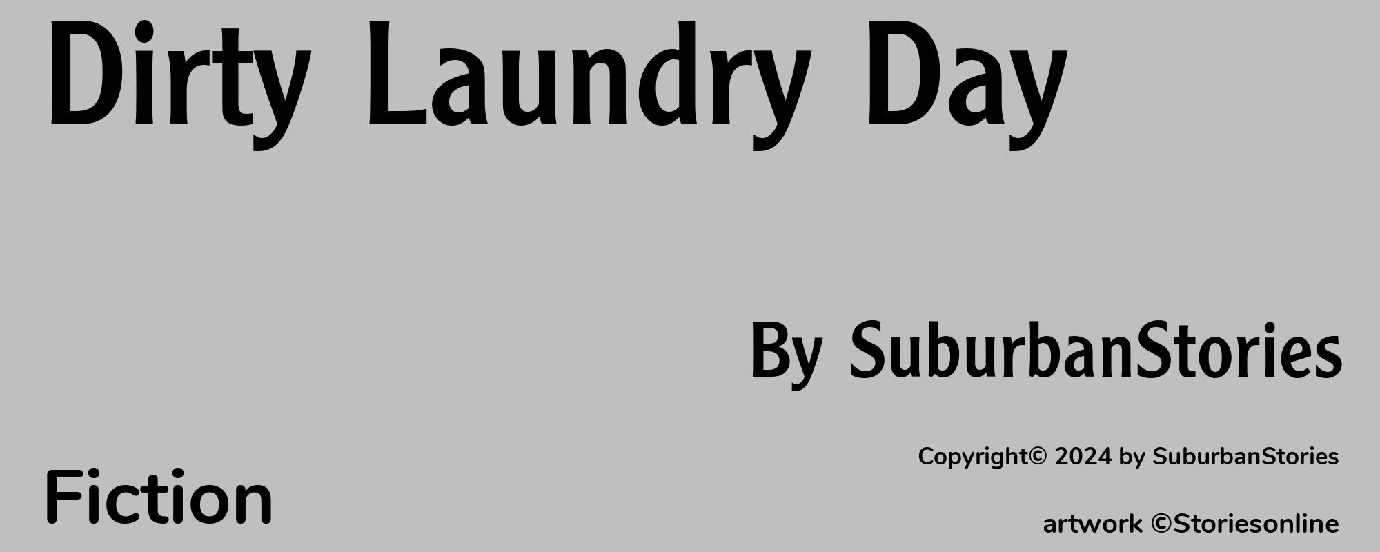 Dirty Laundry Day - Cover