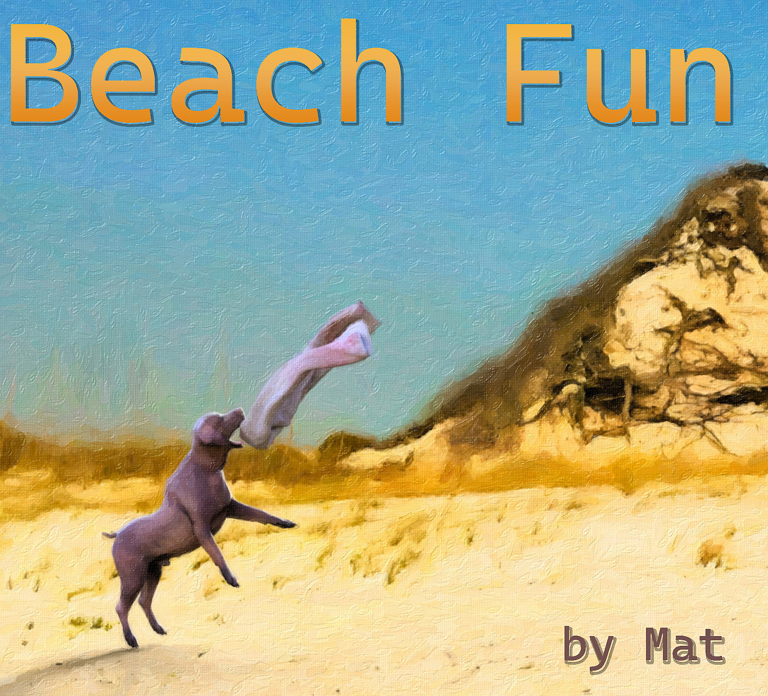 Beach Fun - Cover