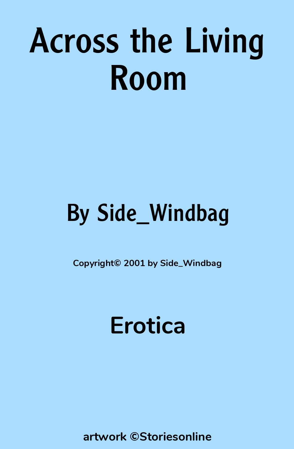 Across the Living Room - Erotica Sex Story