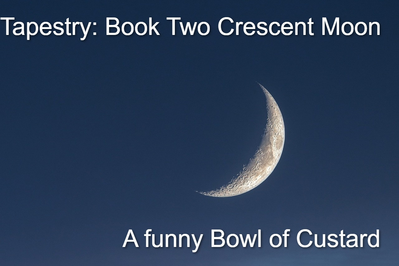 Tapestry Book 2: Crescent Moon - Cover