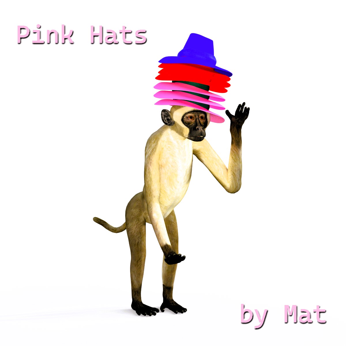 Pink Hats - Cover