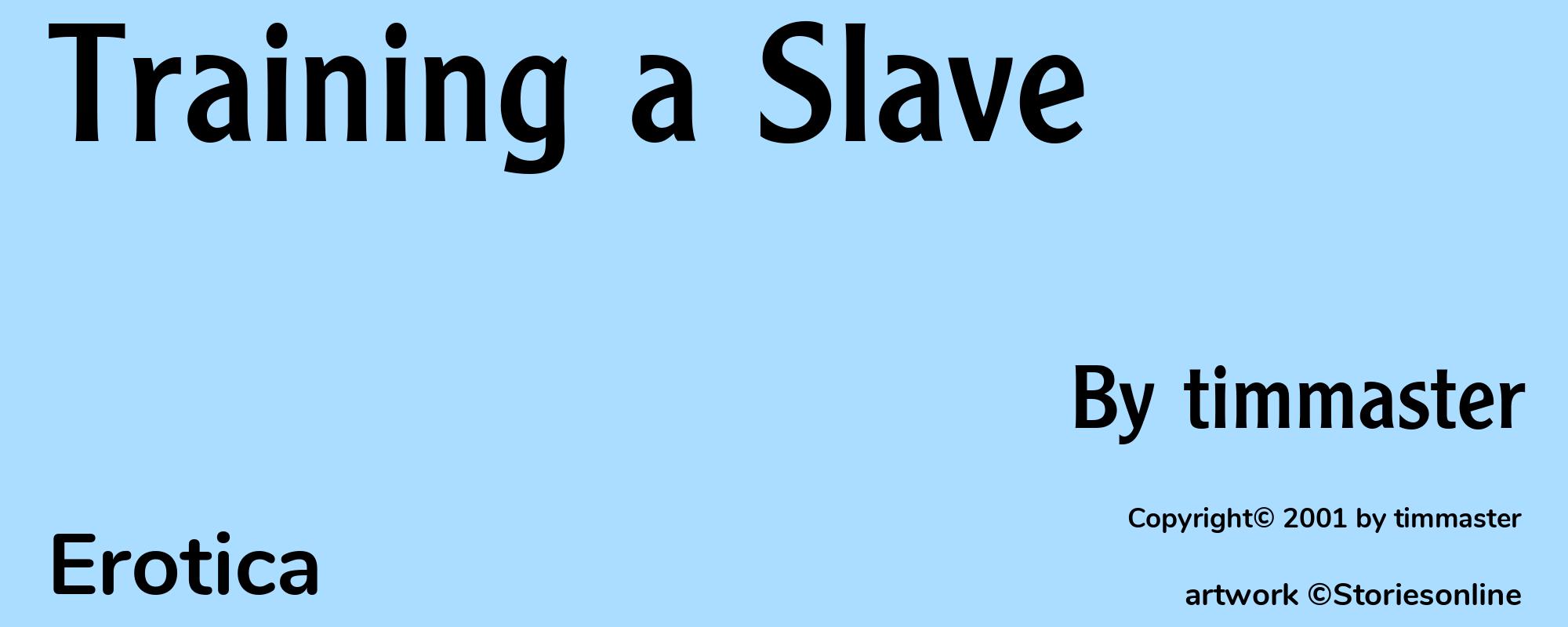 Training a Slave - Cover