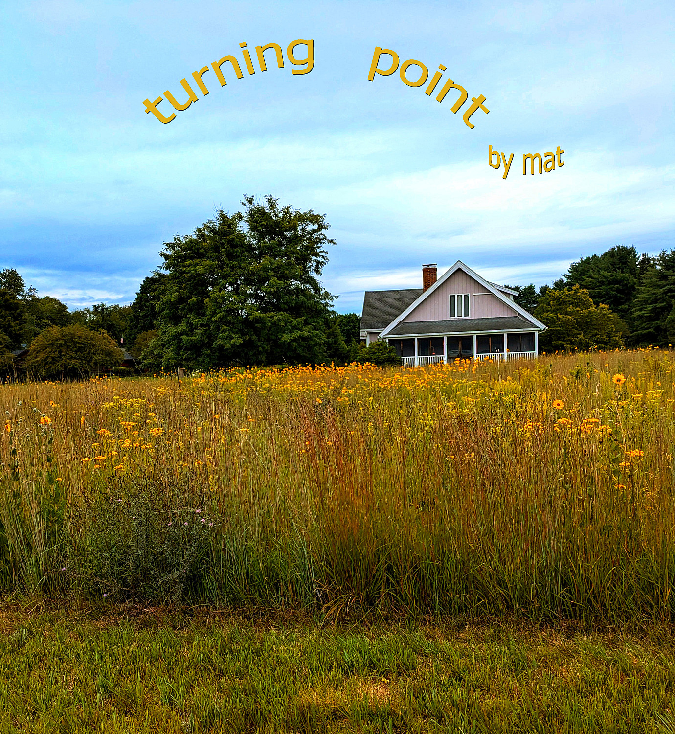 Turning Point - Cover