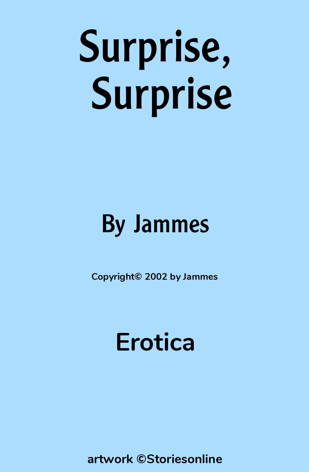 Surprise, Surprise - Erotica Sex Story