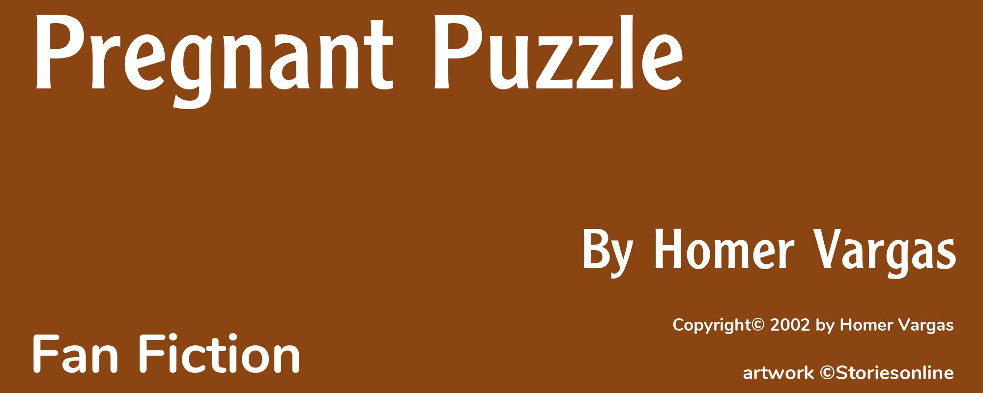 Pregnant Puzzle - Cover