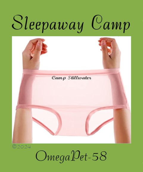 Sleepaway Camp - Cover