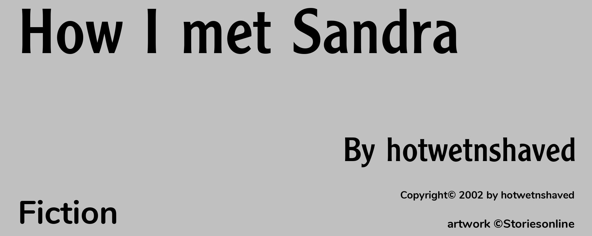 How I met Sandra - Cover