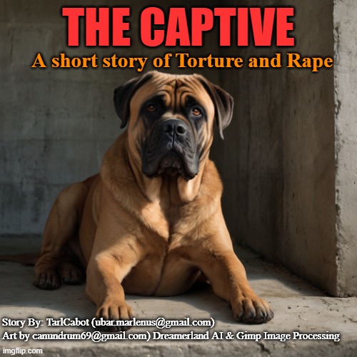 The Captive - Cover