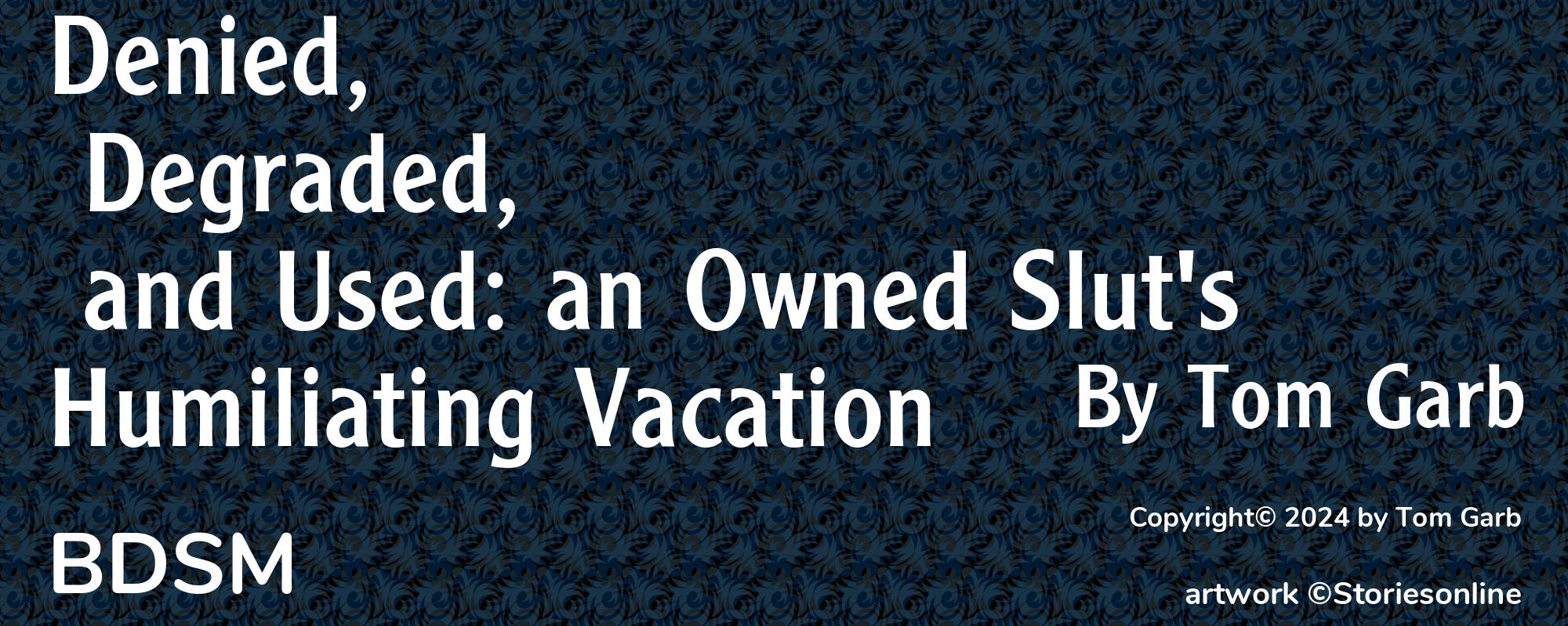 Denied, Degraded, and Used: an Owned Slut's Humiliating Vacation - Cover