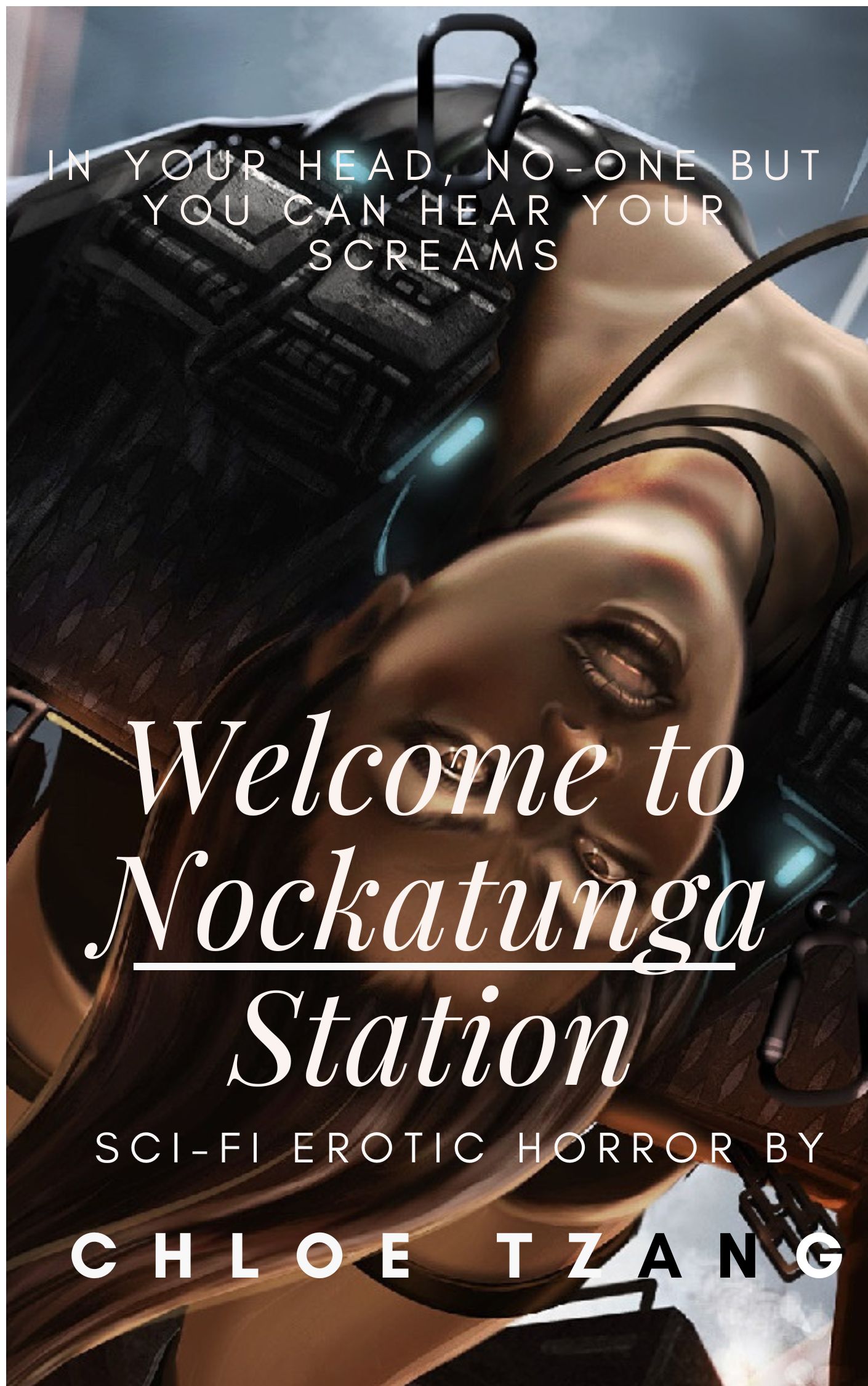 Welcome to Nockatunga Station - Cover