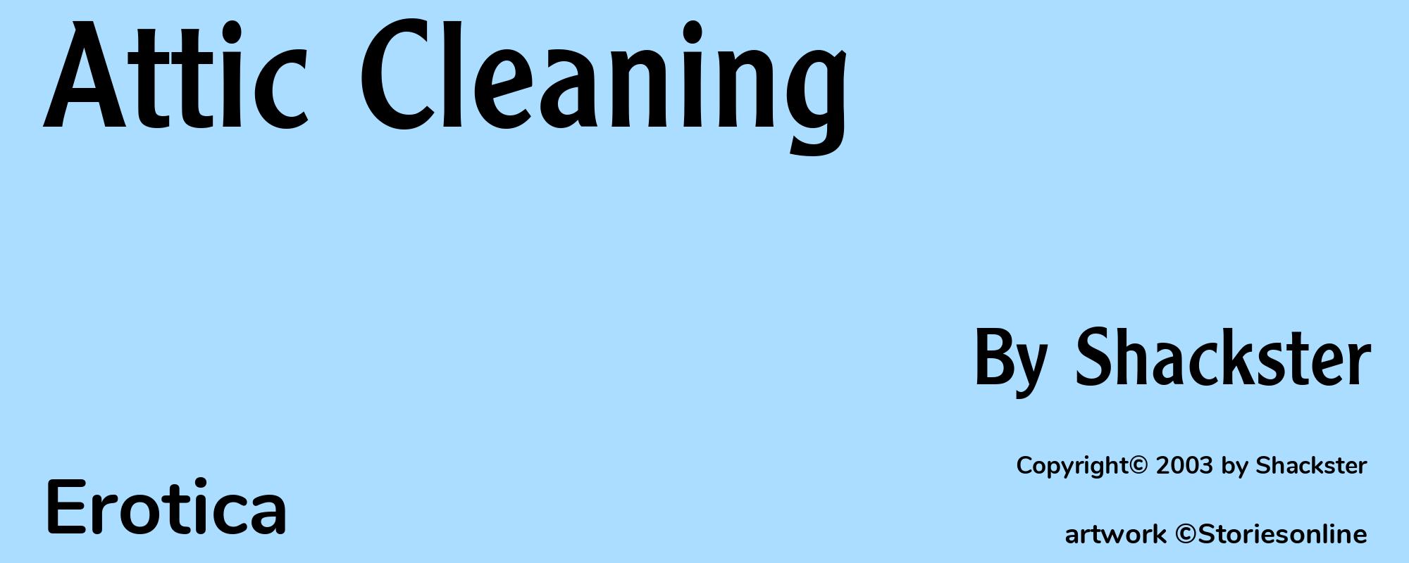 Attic Cleaning - Cover