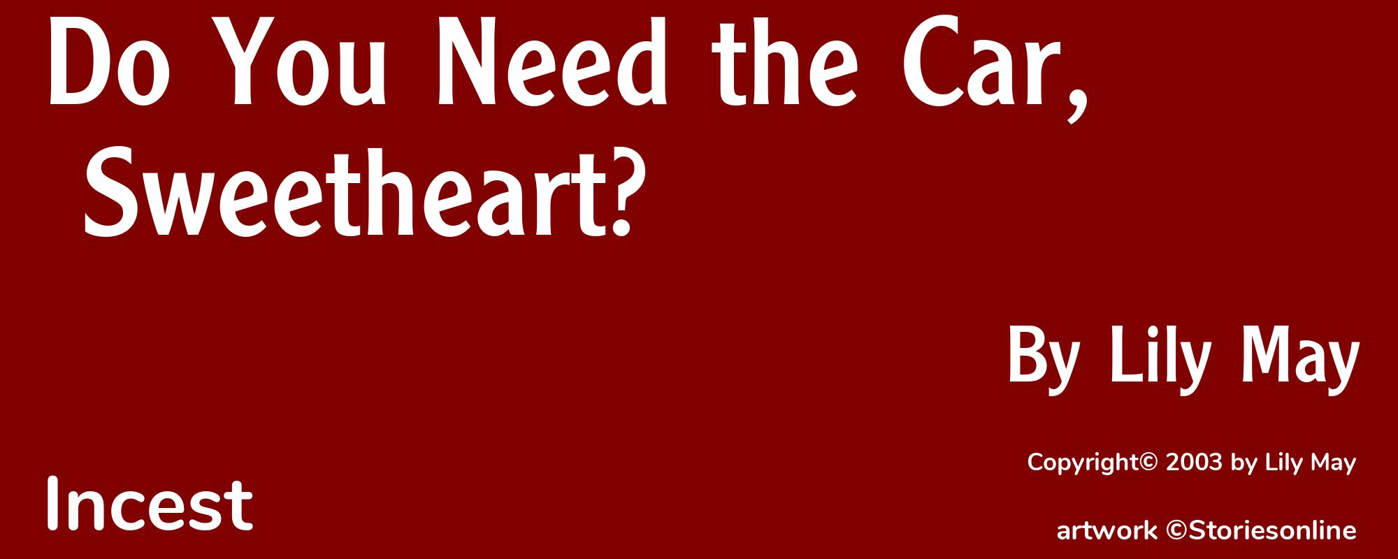 Do You Need the Car, Sweetheart? - Cover