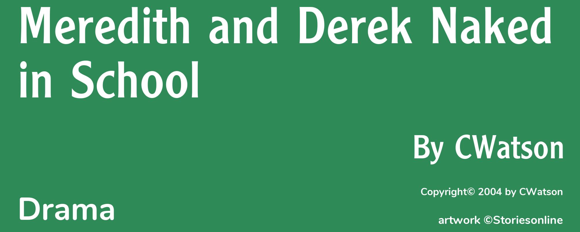 Meredith and Derek Naked in School - Cover