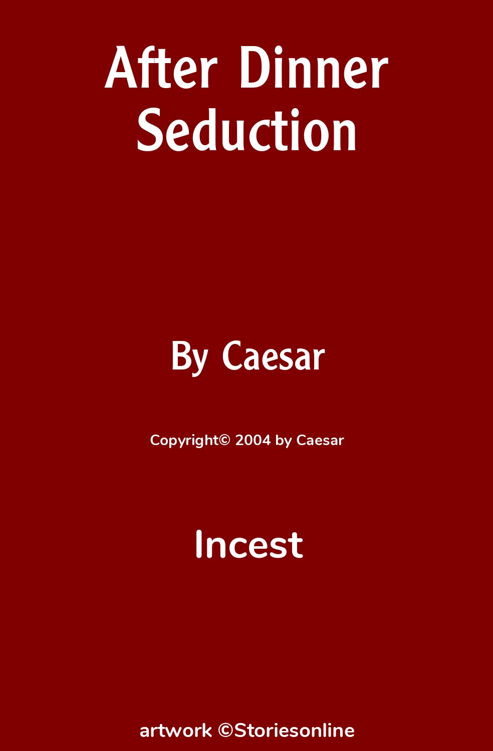 After Dinner Seduction - Incest Sex Story