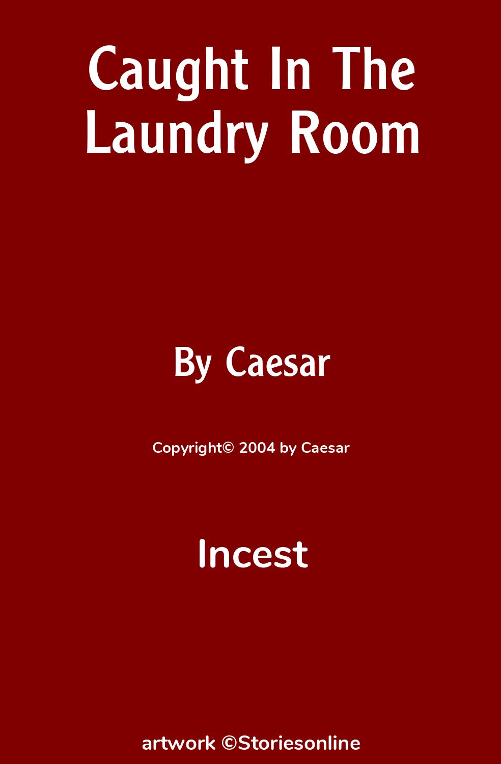 Caught In The Laundry Room - Incest Sex Story