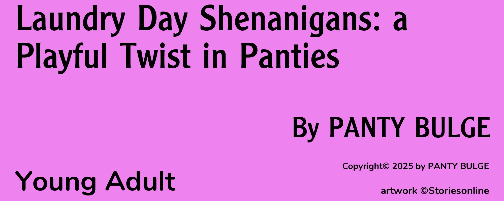 Laundry Day Shenanigans: a Playful Twist in Panties - Cover