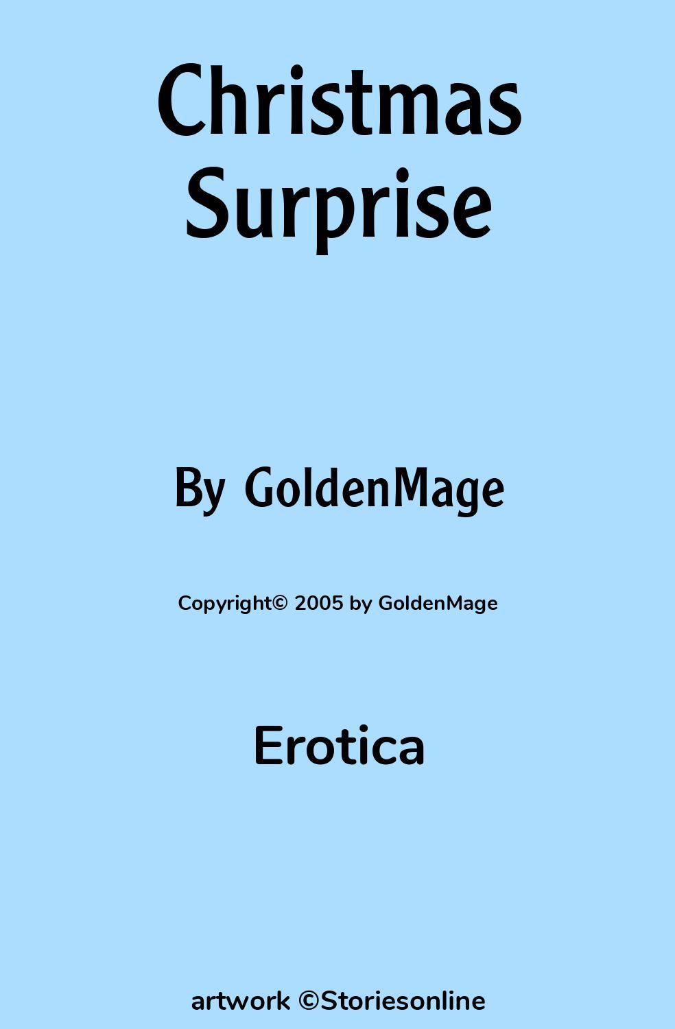 Christmas Surprise - Erotica Sex Story