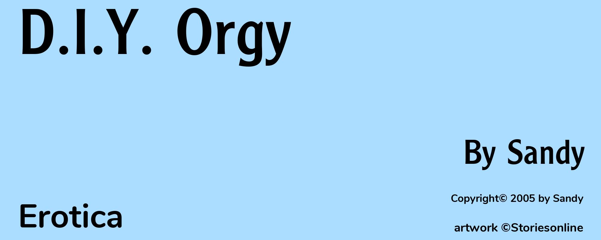 D.I.Y. Orgy - Cover