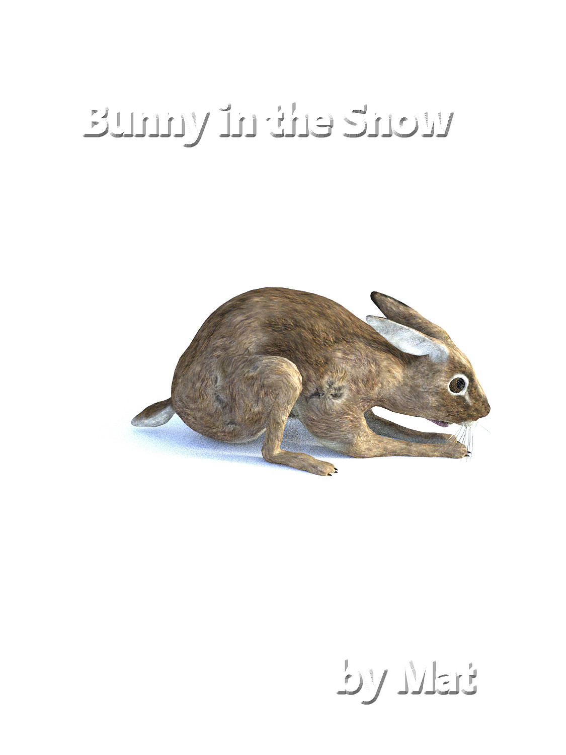 Bunny in the Snow - Cover