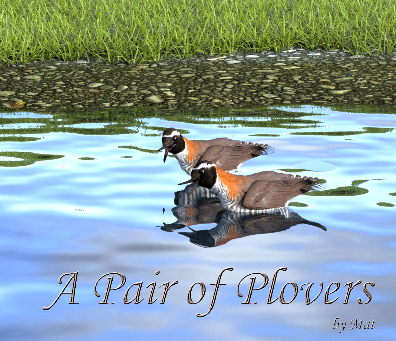 A Pair of Plovers - Cover