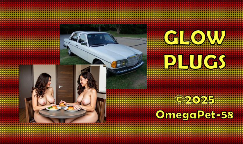 Glow Plugs - Cover