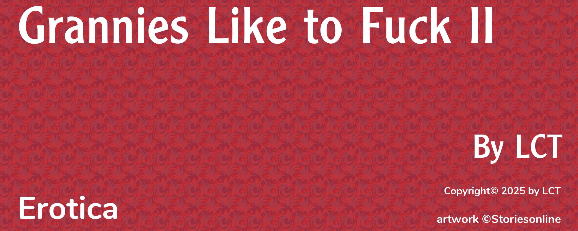 Grannies Like to Fuck II - Cover