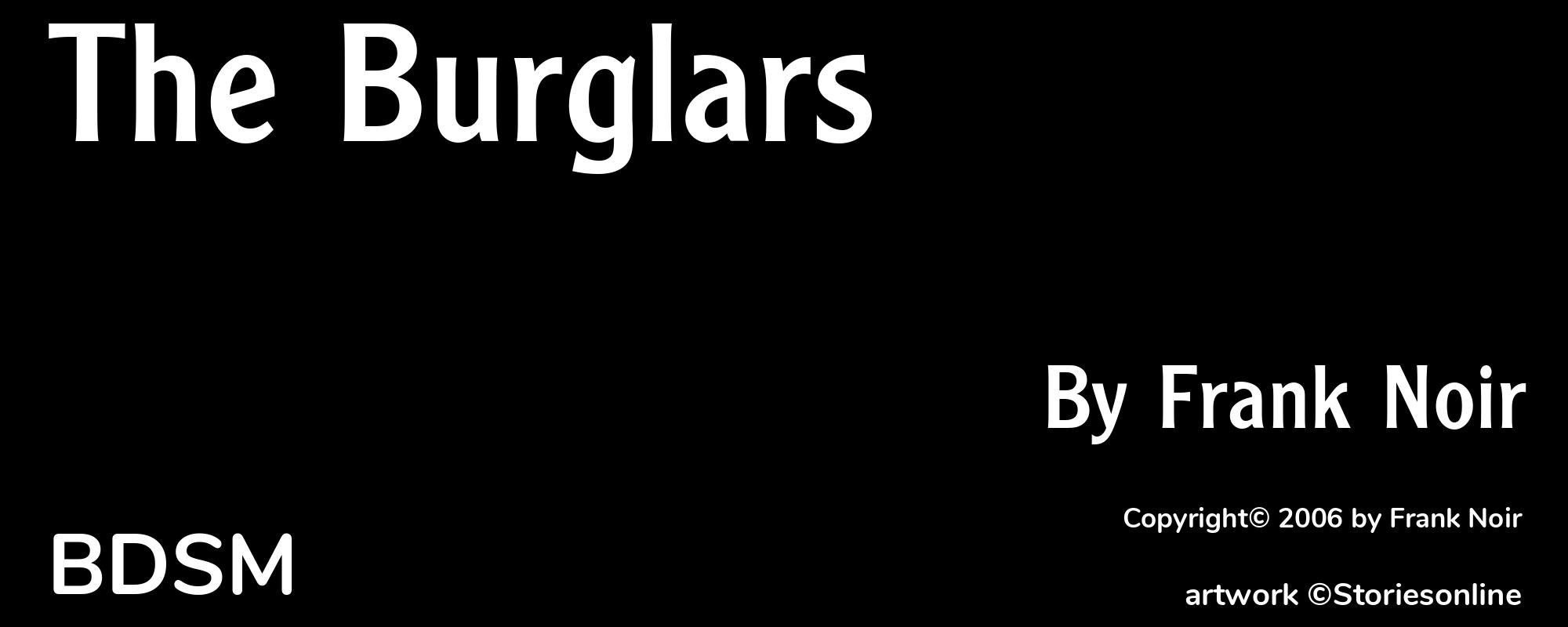 The Burglars - Cover