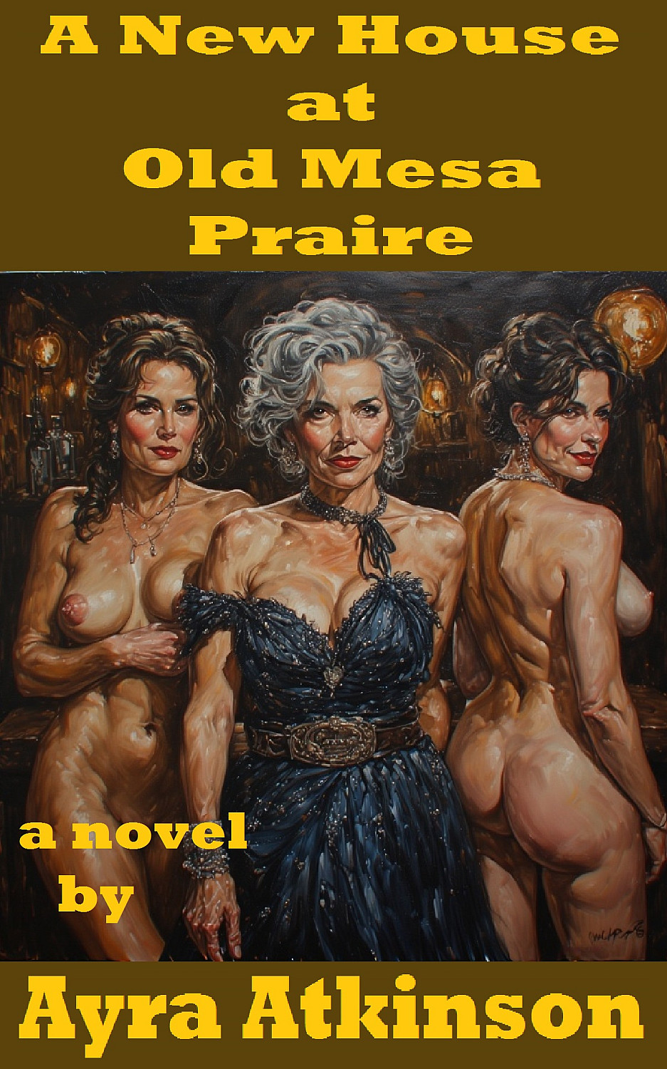 A New House at Old Mesa Praire - Cover