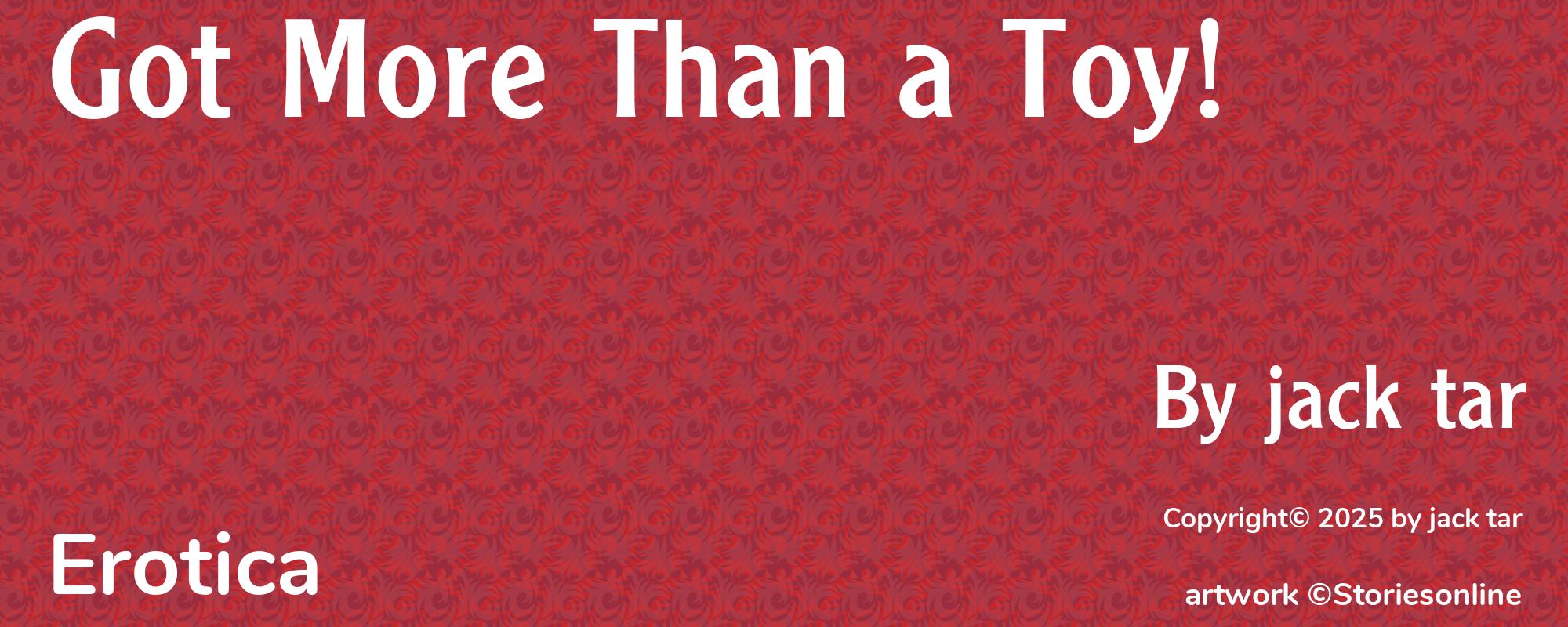 Got More Than a Toy! - Cover