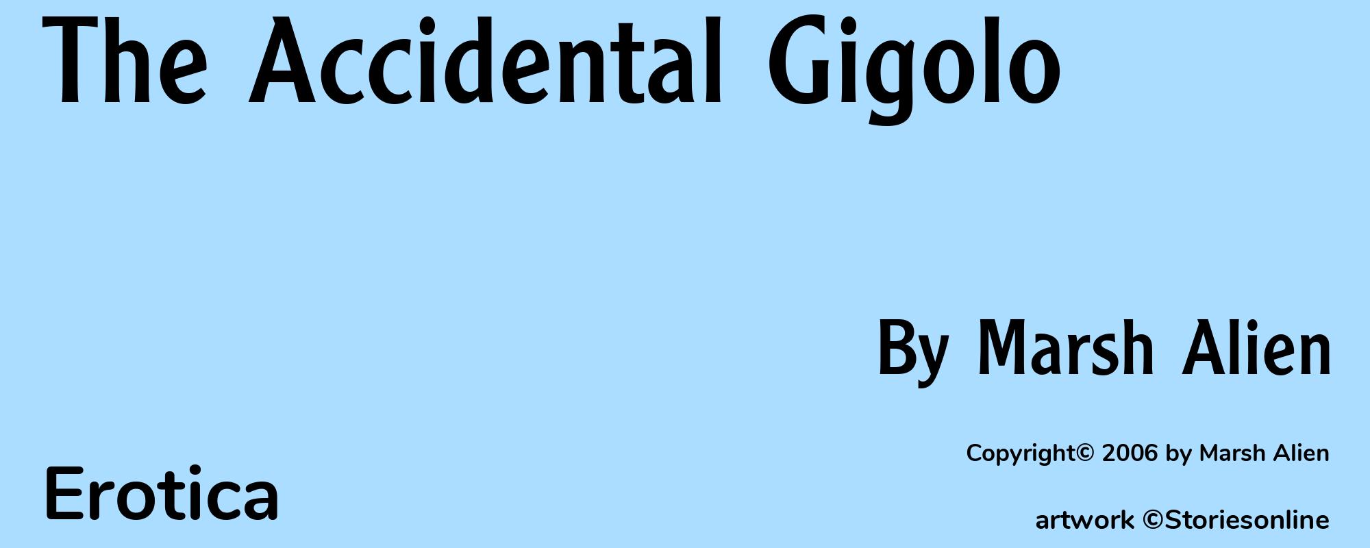 The Accidental Gigolo - Cover