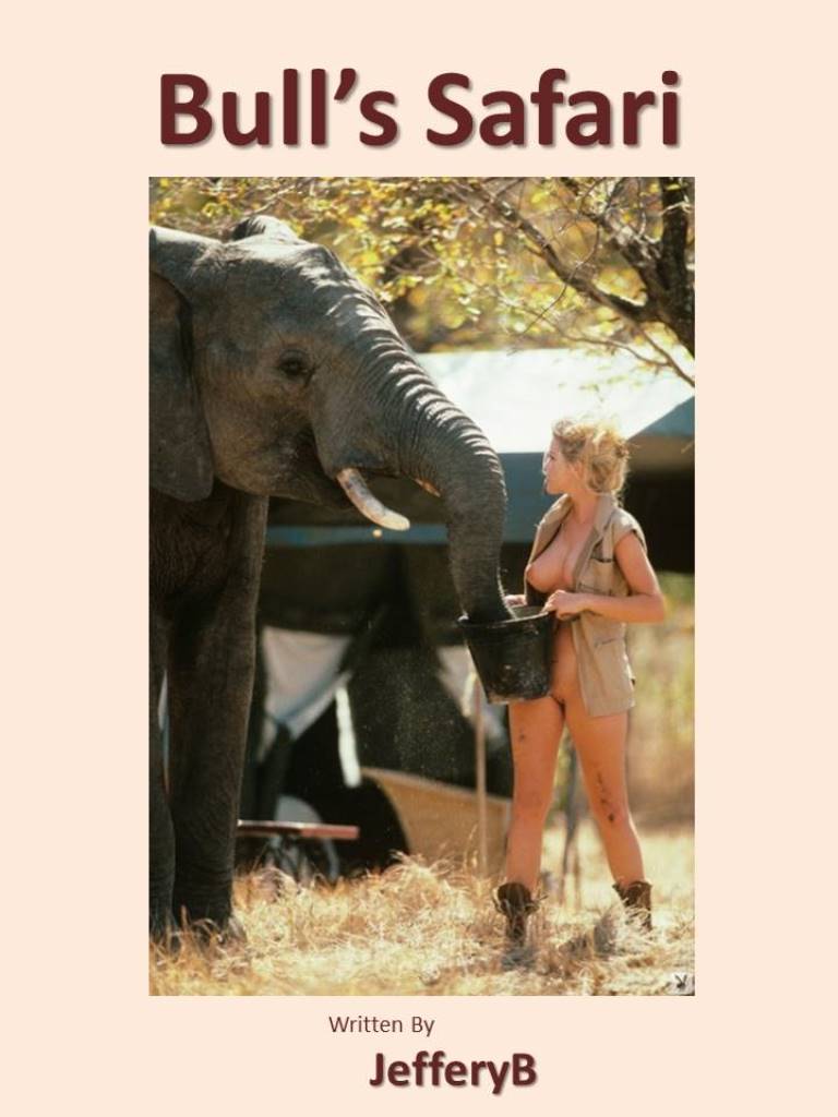 Bull's Safari - Cover