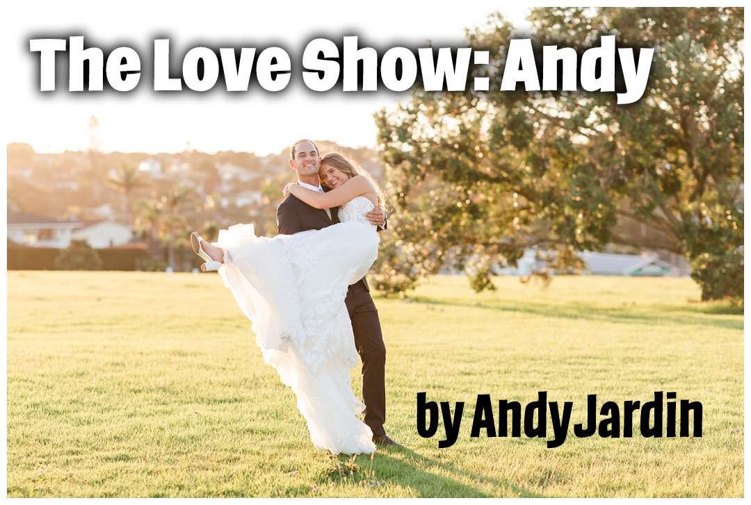 The Love Show - Cover
