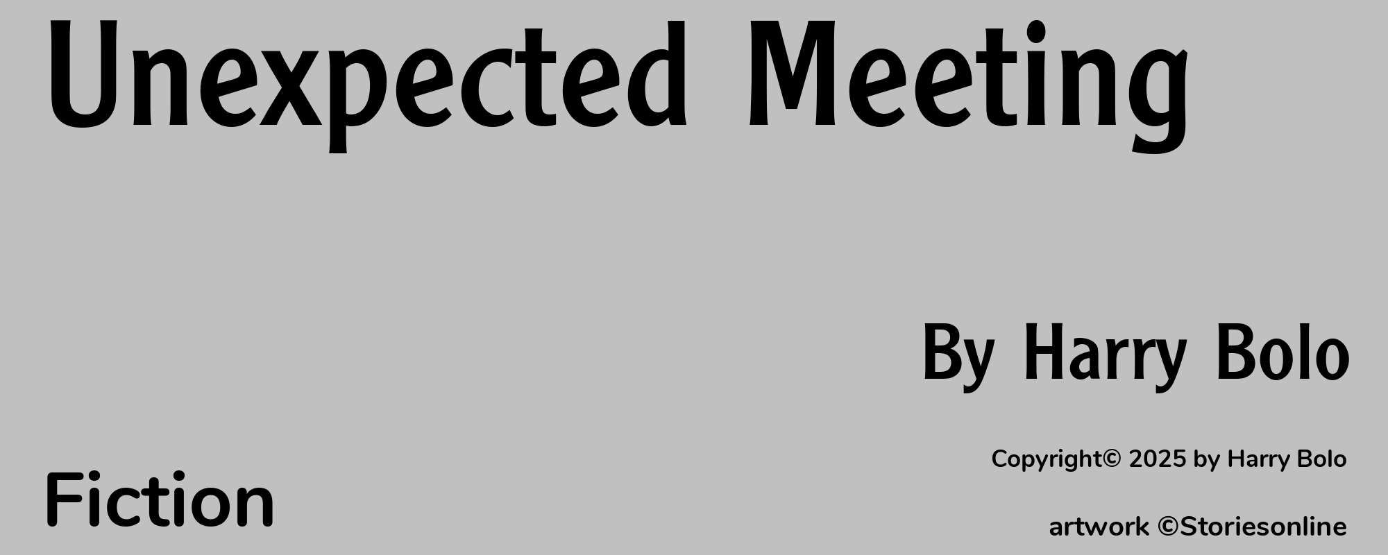 Unexpected Meeting - Cover