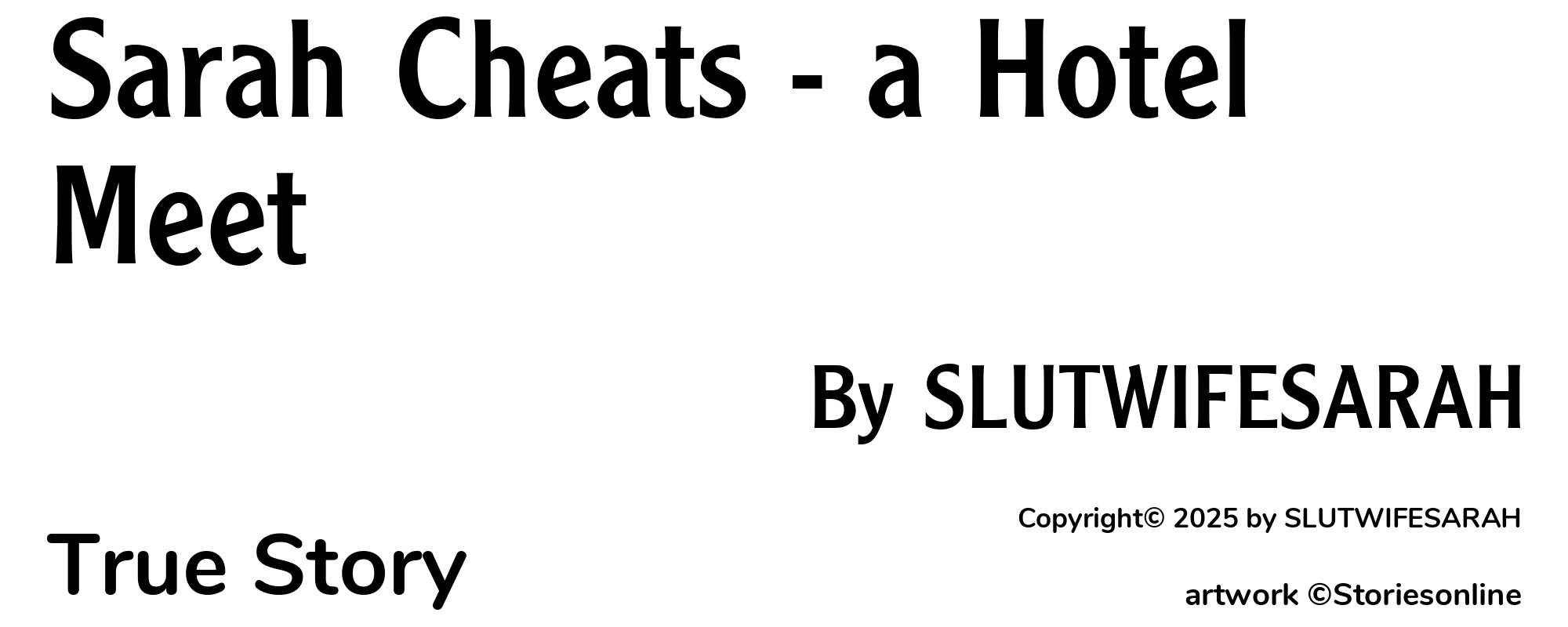 Sarah Cheats - a Hotel Meet - Cover