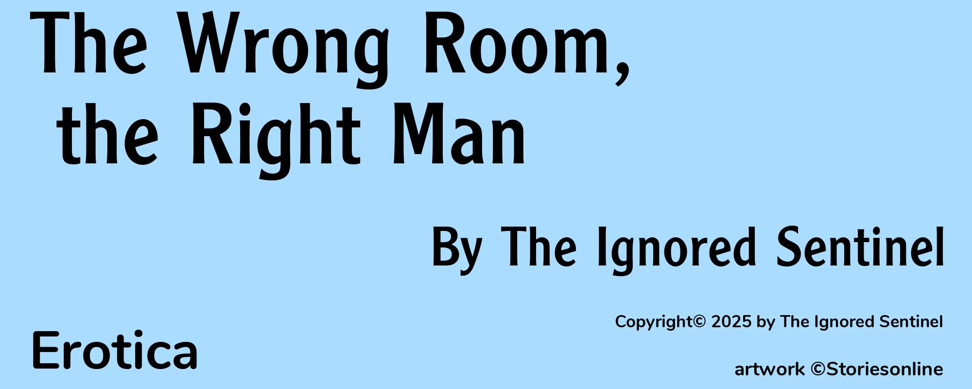 The Wrong Room, the Right Man - Cover